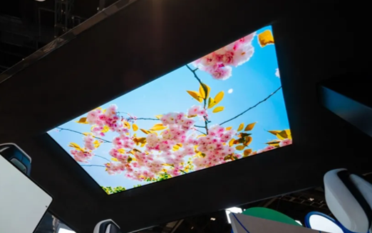 55-inch OLED transparent sunroof