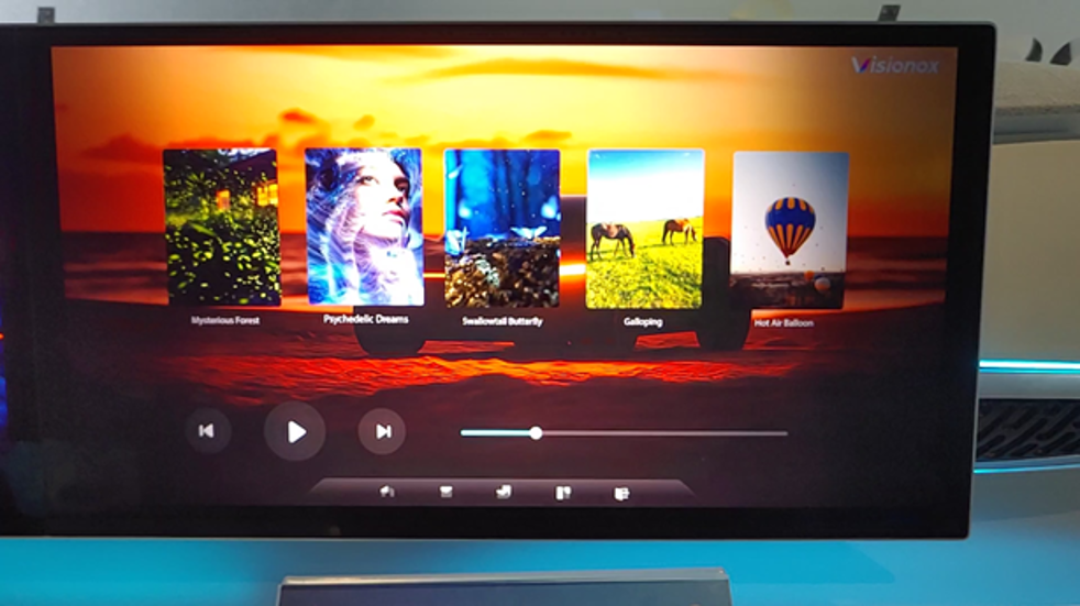Visionox Privacy OLED